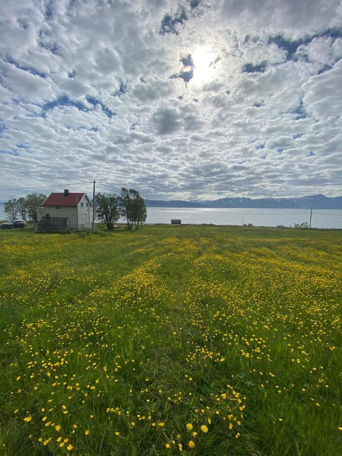 Unique And Charming Holiday Home With Fantastic Sea Views 特罗姆瑟 外观 照片