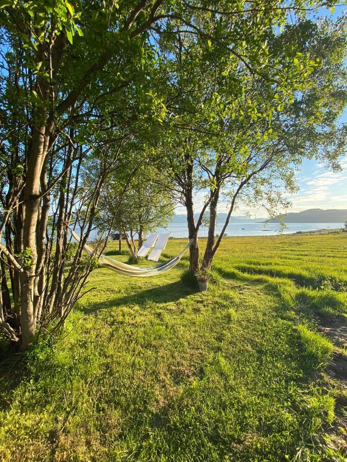 Unique And Charming Holiday Home With Fantastic Sea Views 特罗姆瑟 外观 照片
