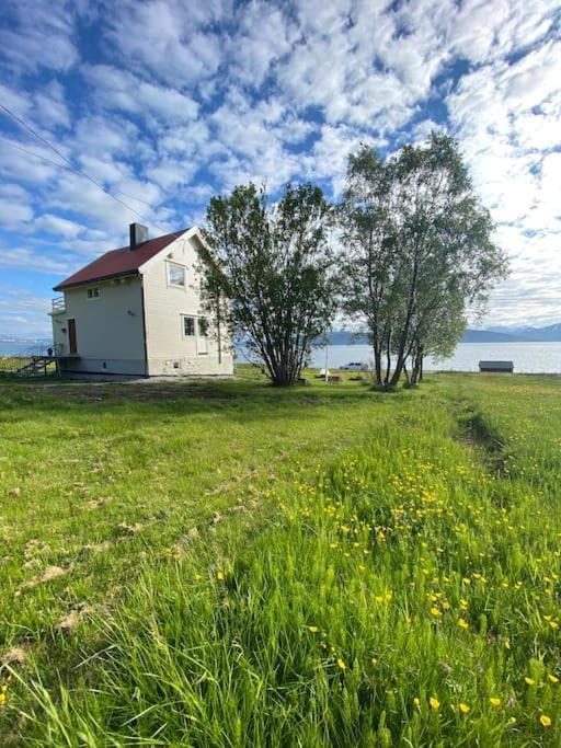 Unique And Charming Holiday Home With Fantastic Sea Views 特罗姆瑟 外观 照片