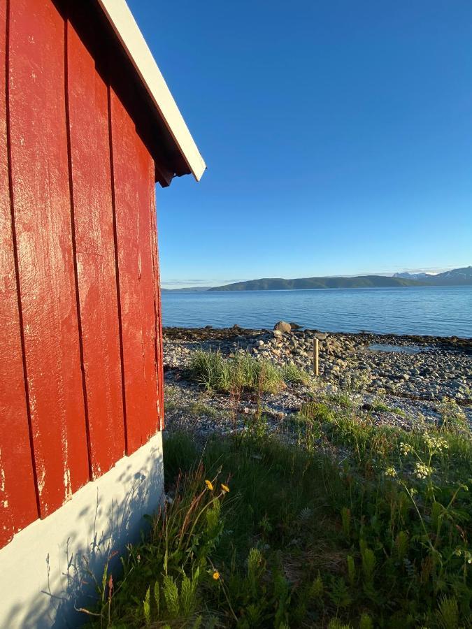 Unique And Charming Holiday Home With Fantastic Sea Views 特罗姆瑟 外观 照片