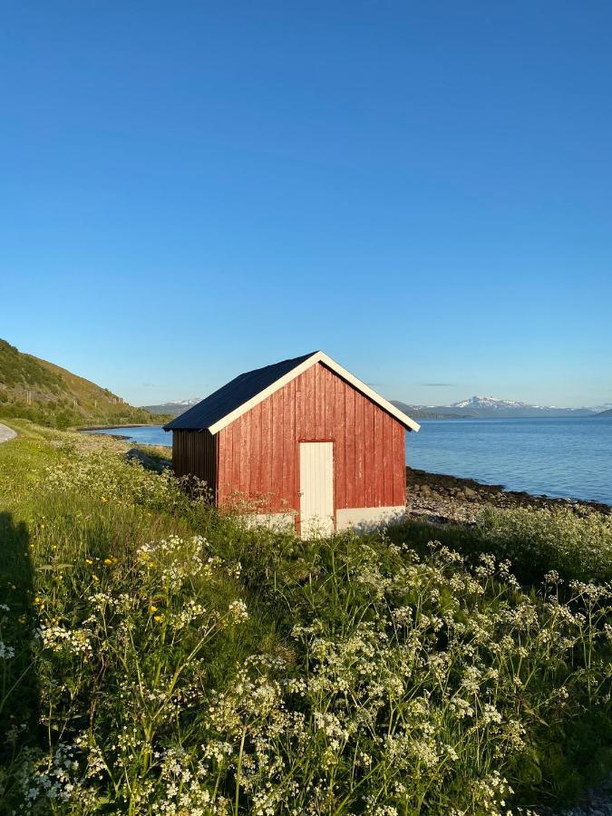 Unique And Charming Holiday Home With Fantastic Sea Views 特罗姆瑟 外观 照片