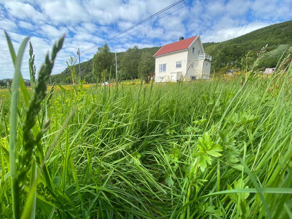 Unique And Charming Holiday Home With Fantastic Sea Views 特罗姆瑟 外观 照片