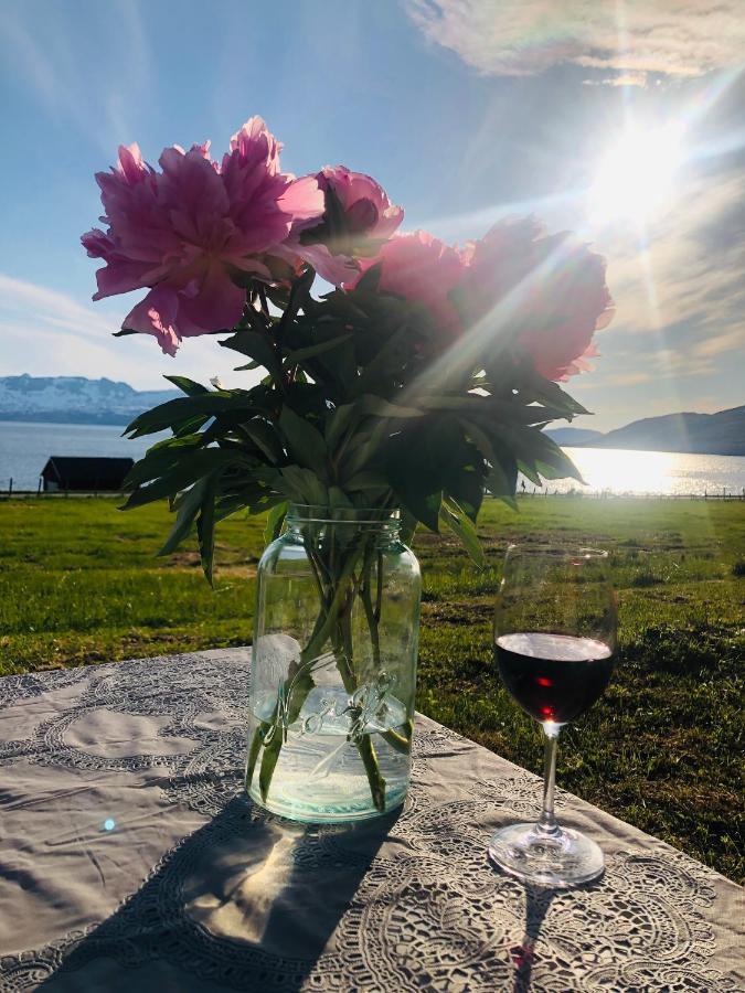 Unique And Charming Holiday Home With Fantastic Sea Views 特罗姆瑟 外观 照片